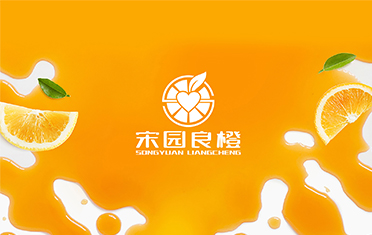 某良橙——南平LOGO设计
