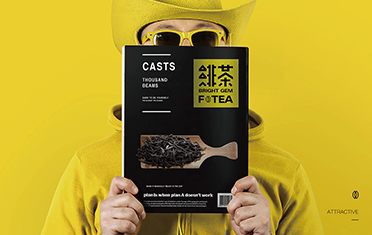 南平绯茶品牌设计